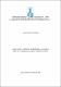 Annaldina Lucas Pelzl - Dissertação mestrado - texto final 23 março 2022.pdf.jpg