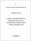 Ailson Sebastião da Silva.pdf.jpg