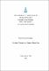 Dissertação Mestrado.pdf.jpg