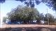WAMC4.310822.jpeg.jpg