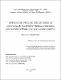 tese_de_doutorado_Lucas_Pereira_PPGCM_INFI_UFMS_2021.pdf.jpg